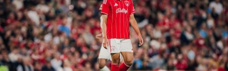 诺丁汉森林官方宣布斯特梅克转会英冠斯旺西