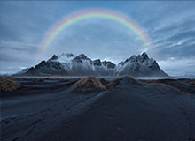 福特赛车部正式启用全新标识