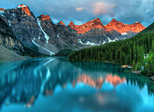 福特赛车部正式启用全新标识